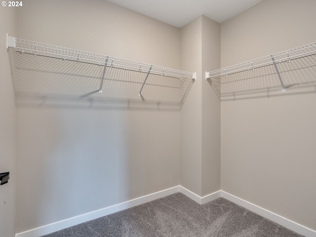 walk in closet featuring dark colored carpet