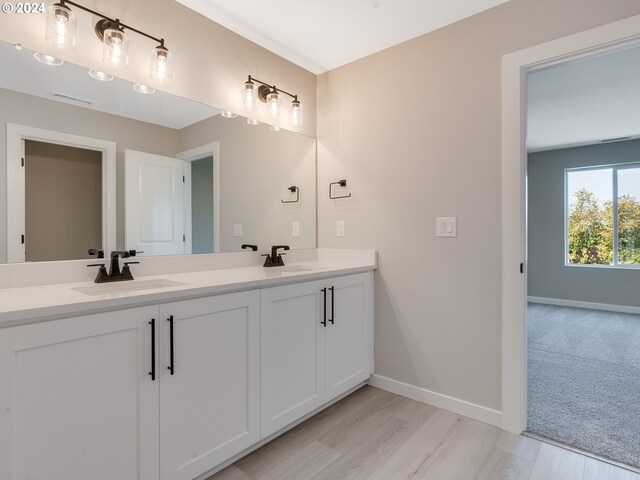 bathroom featuring a sink, visible vents, baseboards, and double vanity