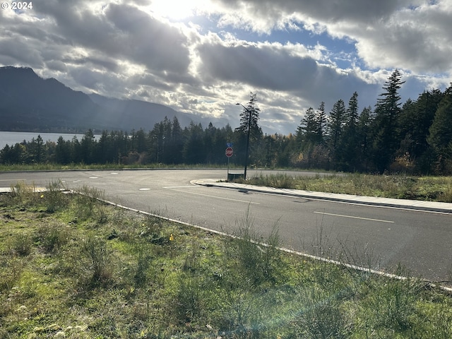 147 NE Bruce Hts Unit 65, Stevenson, WA 98648