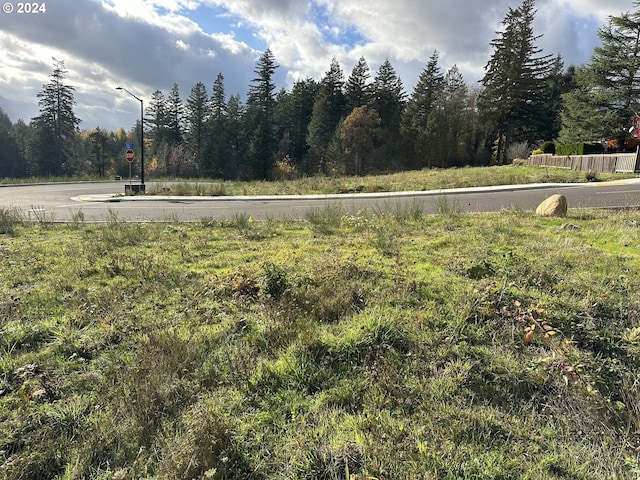 147 NE Bruce Hts Unit 65, Stevenson, WA 98648