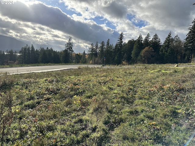 147 NE Bruce Hts Unit 65, Stevenson, WA 98648