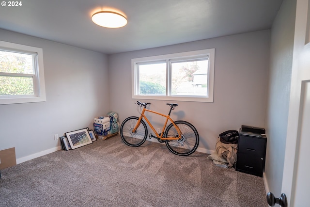 misc room featuring carpet flooring