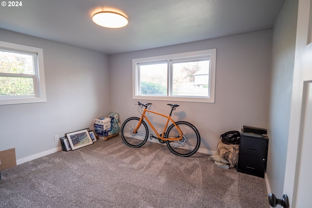 2936 Willakenzie Rd, Eugene, OR 97401 - miscellaneous room with plenty of natural light and carpet