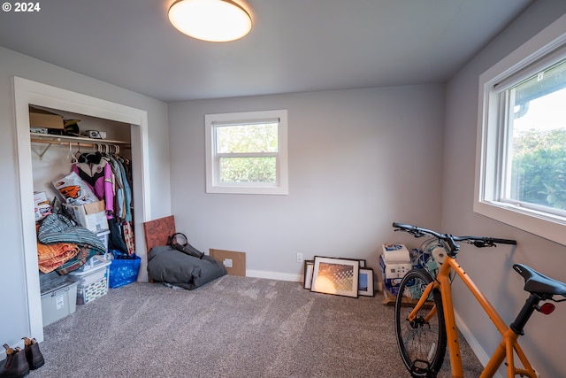 interior space featuring multiple windows and a closet