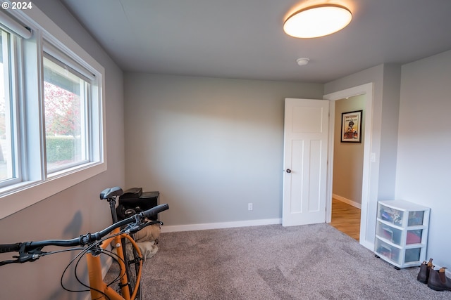 interior space featuring light colored carpet