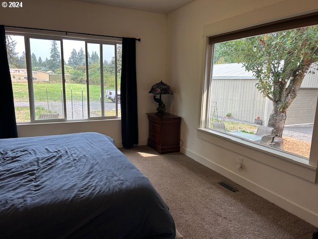 bedroom with carpet