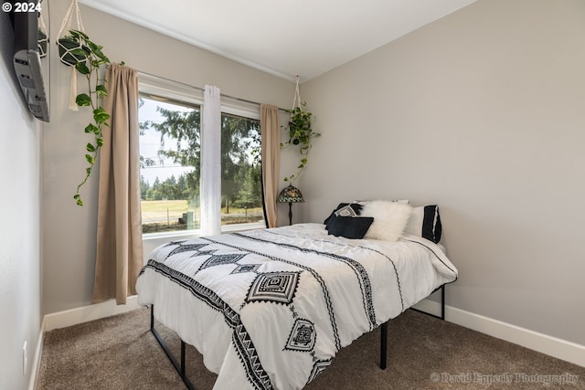 bedroom with carpet flooring