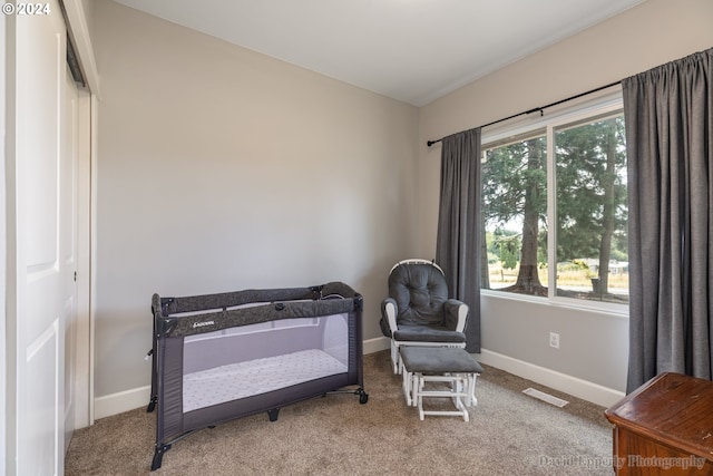 bedroom featuring carpet floors