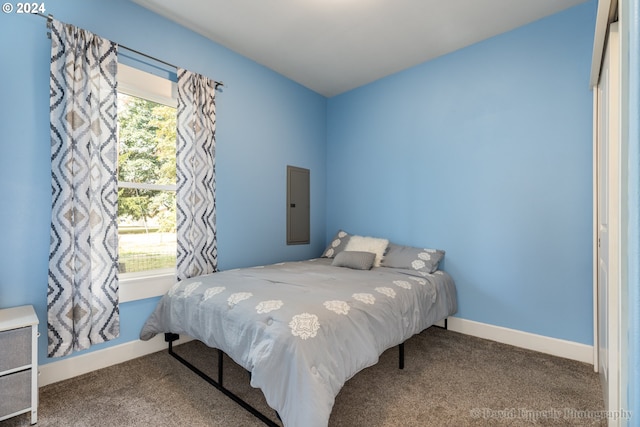 carpeted bedroom featuring electric panel and multiple windows