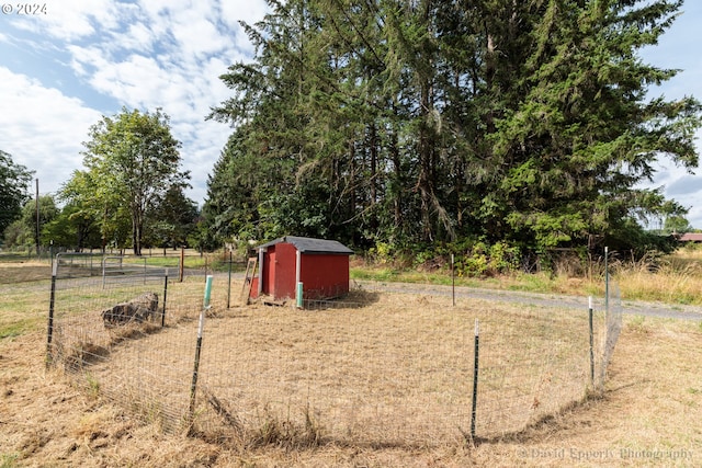 view of yard featuring a shed