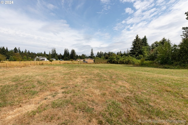 view of yard with a rural view