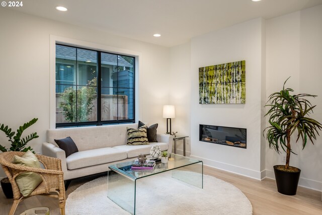 living room with light hardwood / wood-style flooring