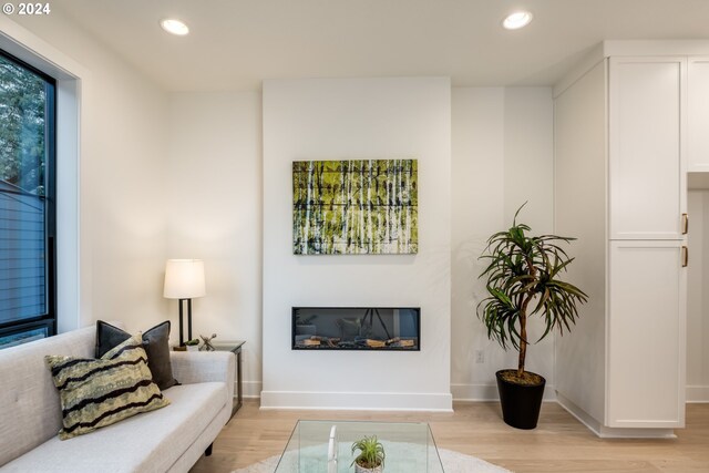 living room featuring sink and light wood-type flooring