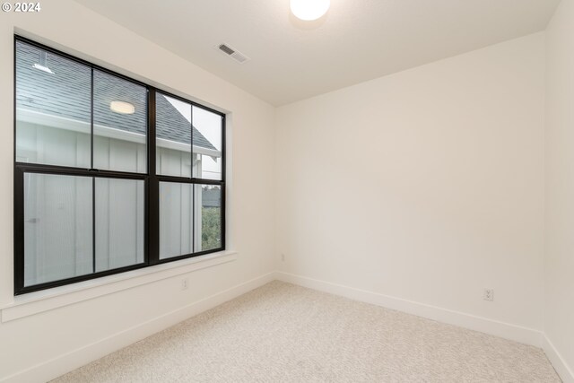 unfurnished bedroom with a closet and carpet floors