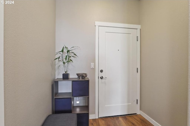 foyer entrance featuring hardwood / wood-style floors