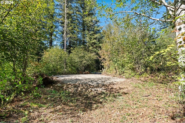 30815 NE Sunset Falls Rd, Yacolt, WA 98675