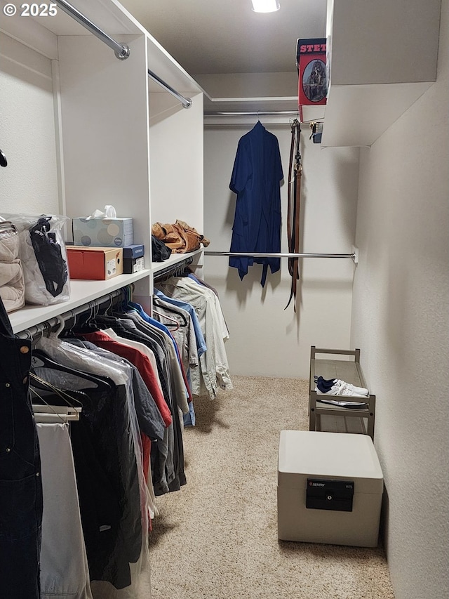 3413 Wild River Dr, Roseburg, OR 97470 - walk in closet with carpet flooring