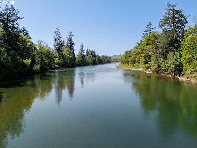 3413 Wild River Dr, Roseburg, OR 97470 - water view featuring a heavily wooded area