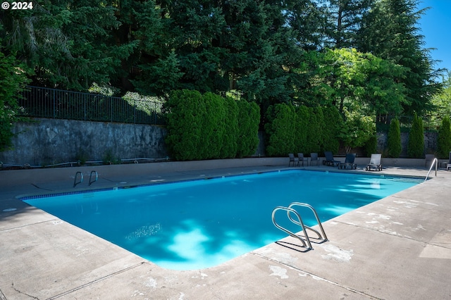 view of swimming pool featuring a patio area