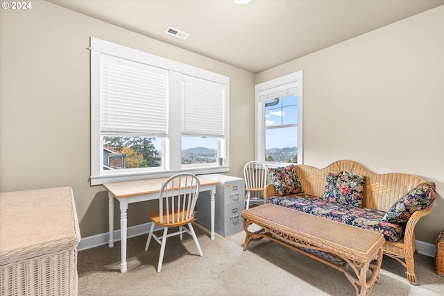 carpeted home office featuring built in desk