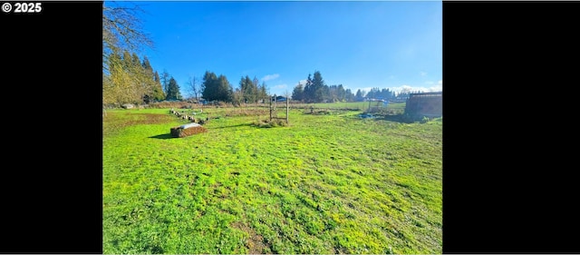 view of yard with a rural view and a garden