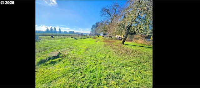 view of yard with a rural view
