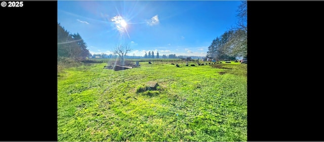view of yard with a rural view