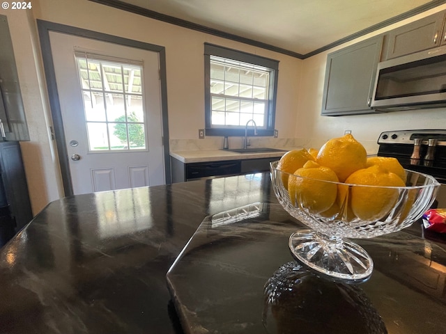 dining room with ornamental molding and a healthy amount of sunlight