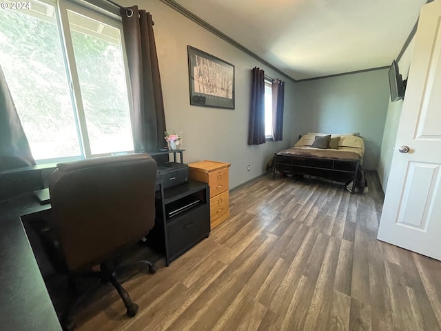 office area featuring plenty of natural light, dark wood-type flooring, and crown molding