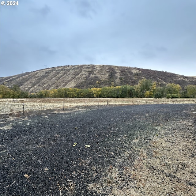 81890 S Fork Walla Walla Riv Rd, Milton-Freewater, OR 97862 - view of yard with a mountain view and a rural view