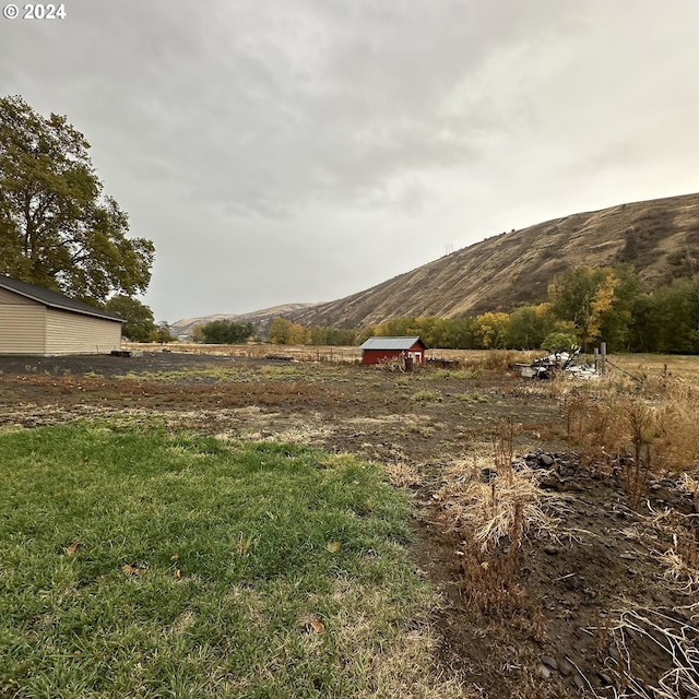 view of yard with a mountain view and a rural view