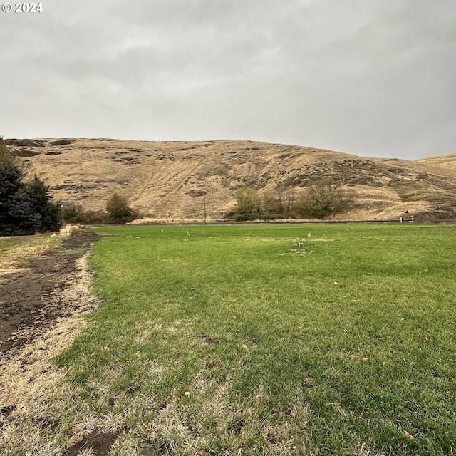 81890 S Fork Walla Walla Riv Rd, Milton-Freewater, OR 97862 - view of green lawn with a mountain view and a view of countryside