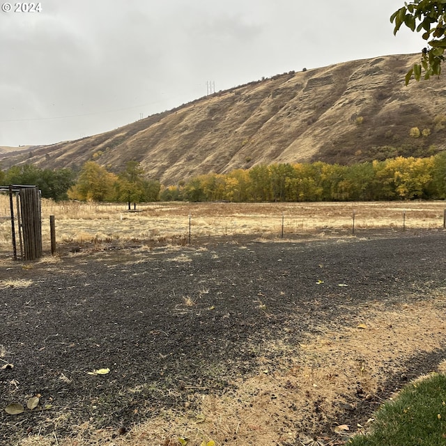 81890 S Fork Walla Walla Riv Rd, Milton-Freewater, OR 97862 - view of mountain backdrop featuring rural landscape