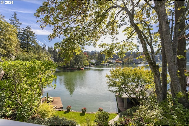 property view of water with a dock