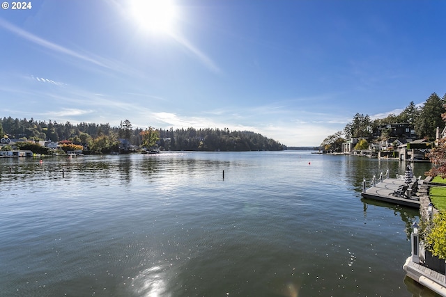 view of water feature with a dock