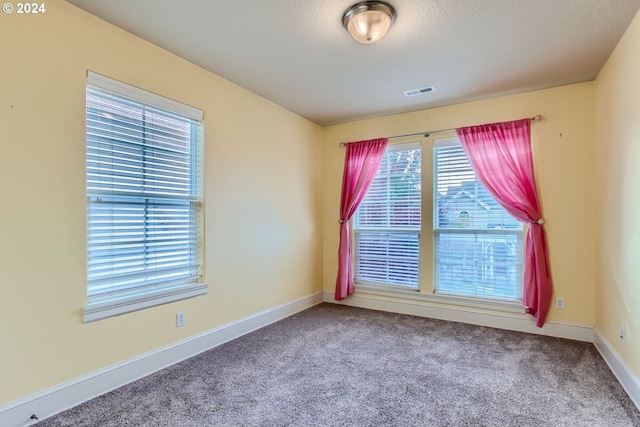 spare room with carpet flooring