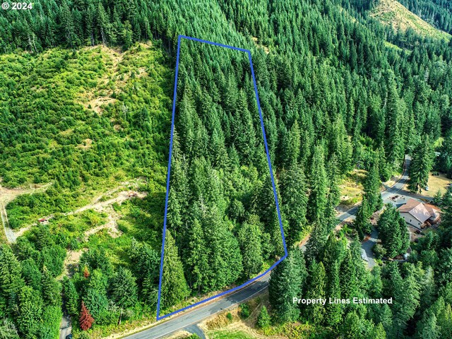 Bear Creek Rd, Carson WA, 98610 land for sale