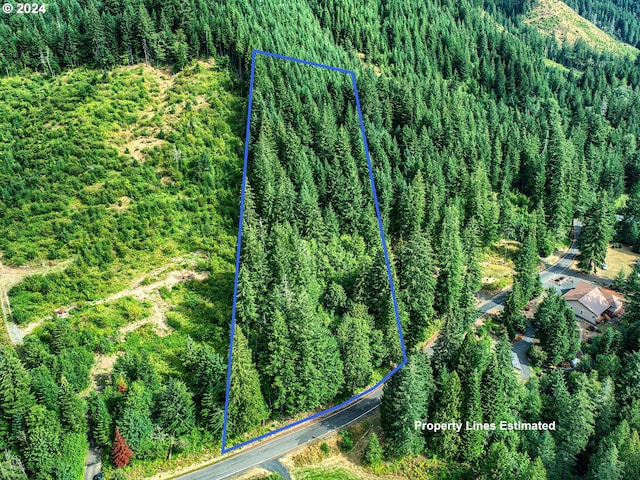 Bear Creek Rd, Carson WA, 98610 land for sale