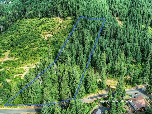 Bear Creek Rd, Carson, WA 98610