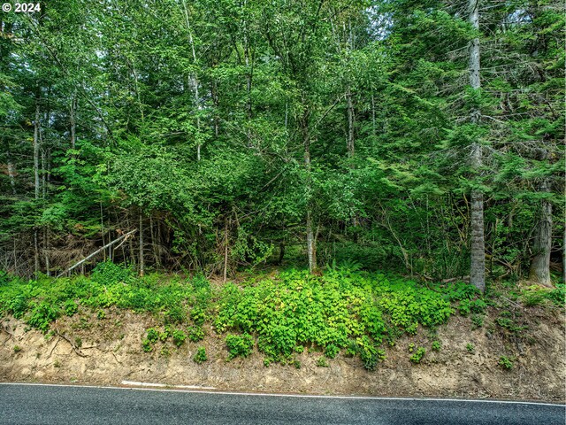 Bear Creek Rd, Carson, WA 98610