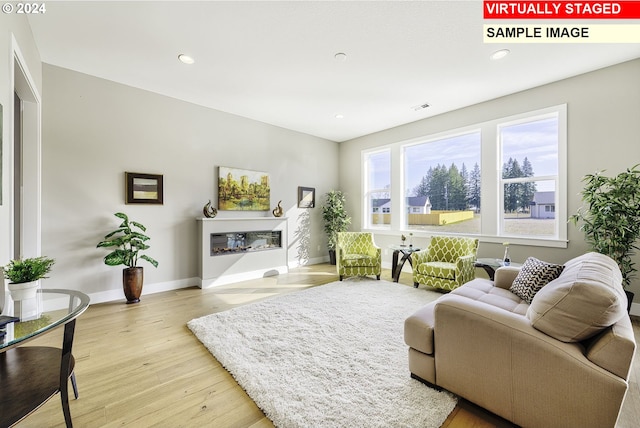 living room featuring light hardwood / wood-style floors