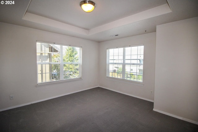 carpeted spare room featuring a tray ceiling