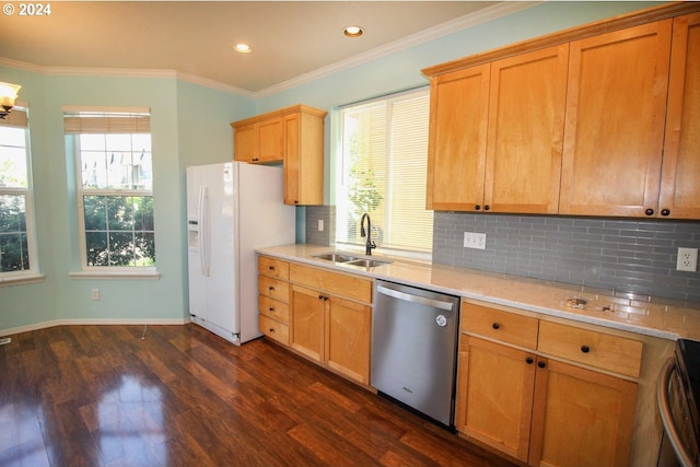 kitchen featuring plenty of natural light, stainless steel dishwasher, sink, and dark hardwood / wood-style flooring