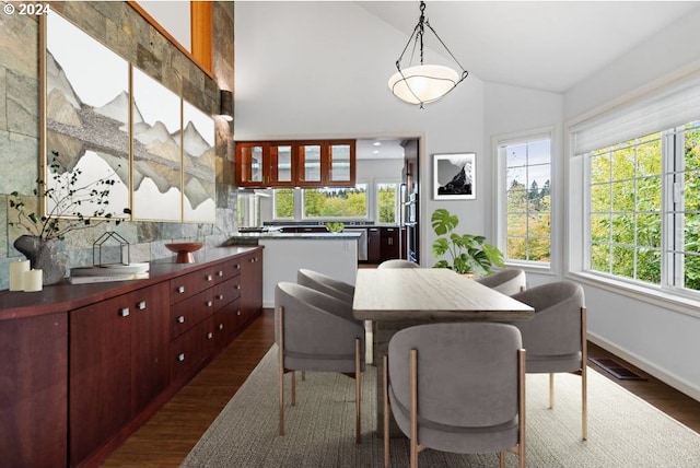 dining area with lofted ceiling and dark hardwood / wood-style flooring