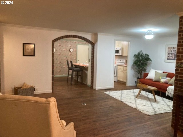 living room featuring crown molding and dark wood-type flooring