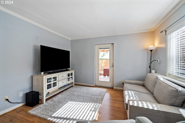 living room with wood-type flooring and crown molding