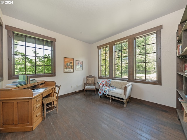 office featuring dark hardwood / wood-style flooring