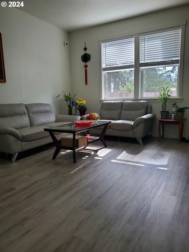 living room featuring hardwood / wood-style floors and a healthy amount of sunlight