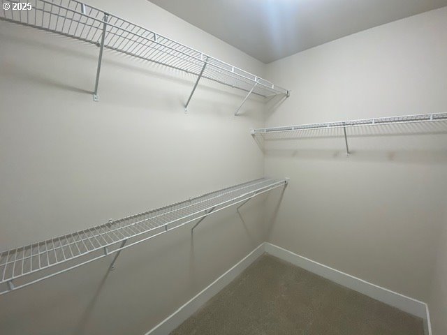 walk in closet featuring carpet flooring