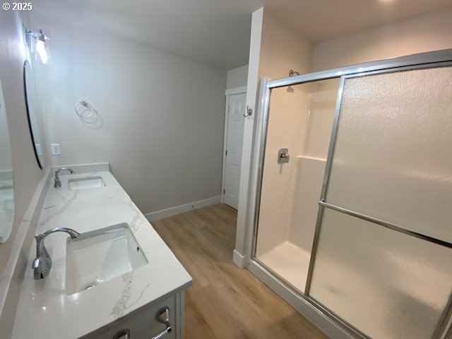 bathroom featuring wood finished floors, a sink, a shower stall, and double vanity